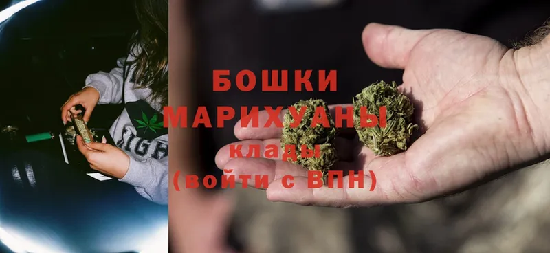 Каннабис OG Kush  Киржач 